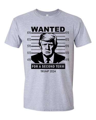 Trump 2024 Wanted Trump For A Second Term T-shirts, sweatshirts, hoodies